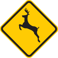 Placa A-36